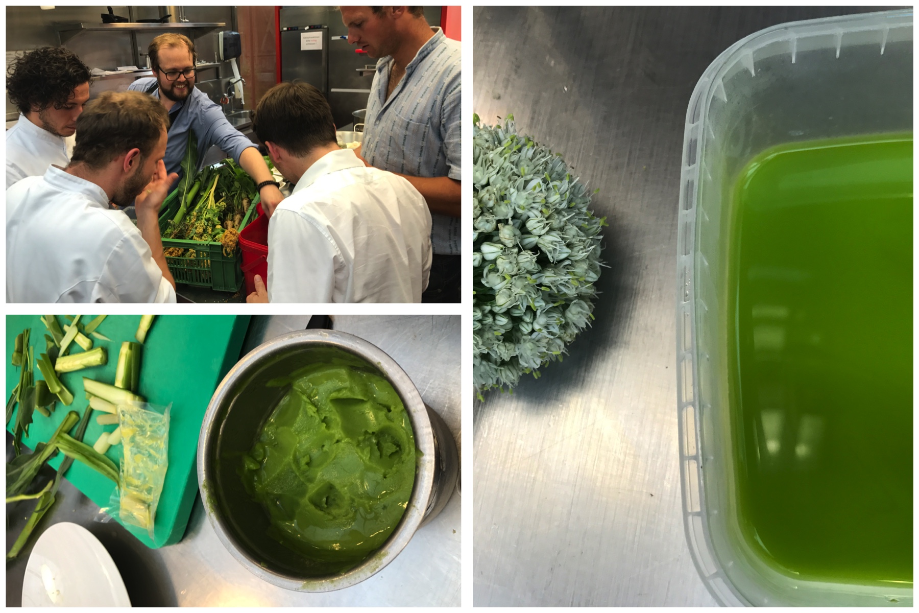 Bei einem Workshop des Restaurant Schöngün gewinnen die Teilnehmer knallgrünes Öl.