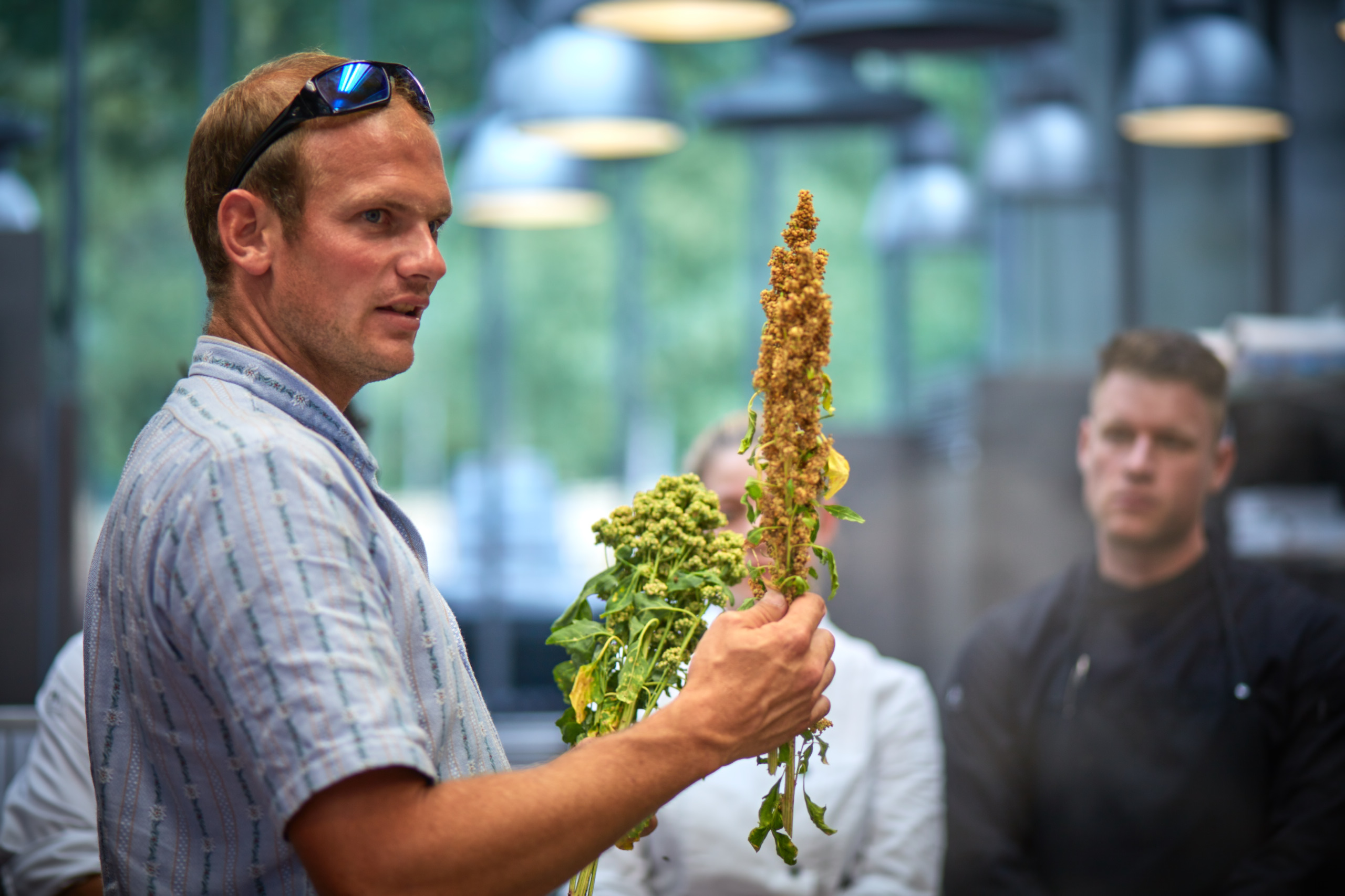 Der Bauer Stefan Brunner zeigt eine unreife Quinoa.